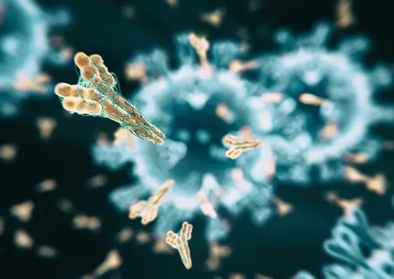 Diagnostyka niepłodności immunologicznej – endometrium
